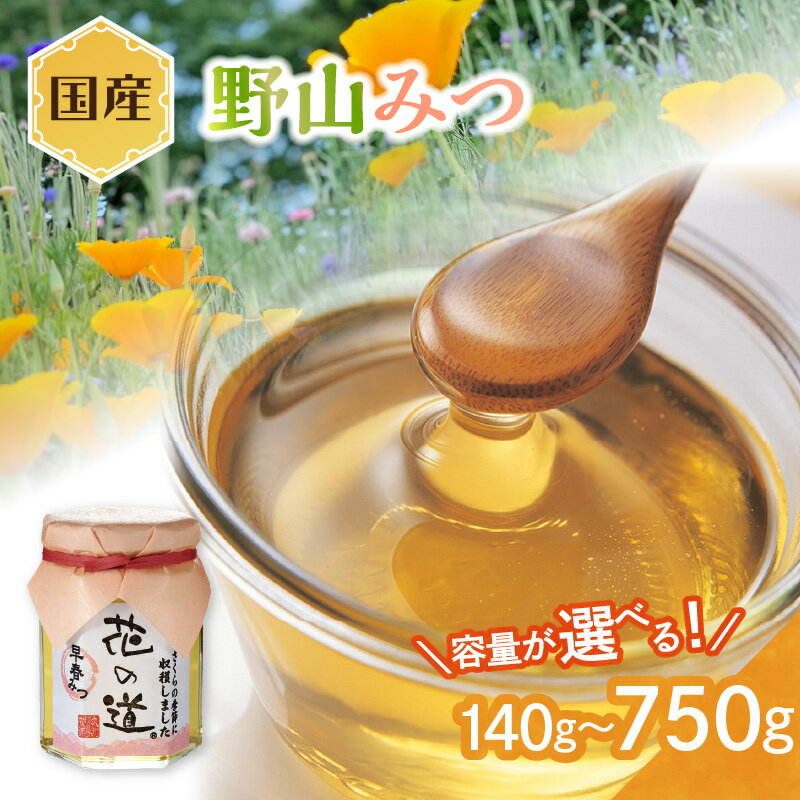 【ふるさと納税】国産 野山みつ 選べる内容量 (140g～750g) はちみつ ハチミツ 蜂蜜 ハニー 贈り物