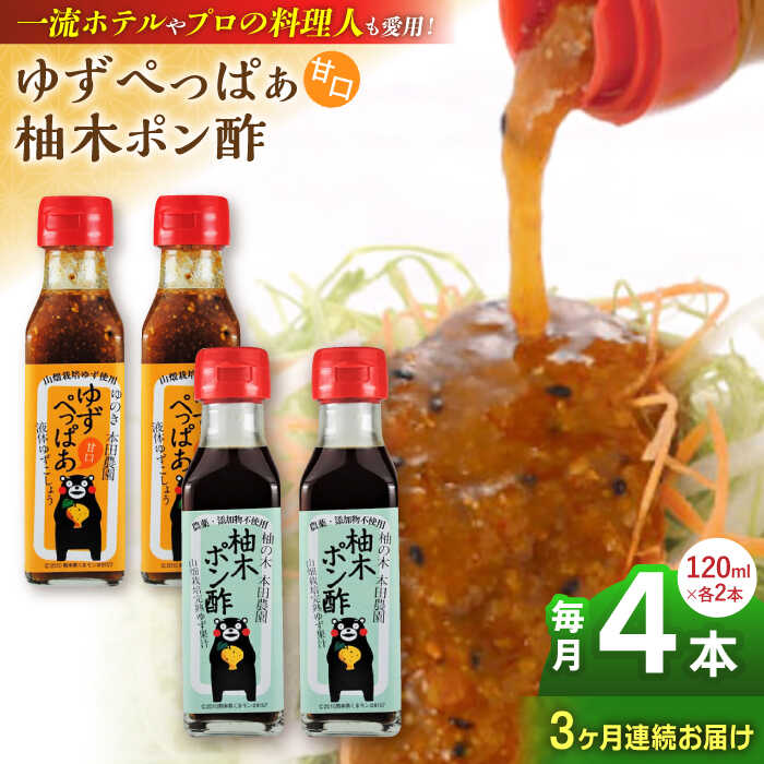 【ふるさと納税】【全3回定期便】ゆずぺっぱぁ 甘口 120ml 柚木ポン酢 120ml 各2本 柚子 ゆず ポン酢 ゆずポン酢 ゆずポン 液体柚子胡椒 タレ ドレッシング 調味料 国産 九州産 熊本県産 山都町産 熊本 山都町【本田農園】[YDL016]
