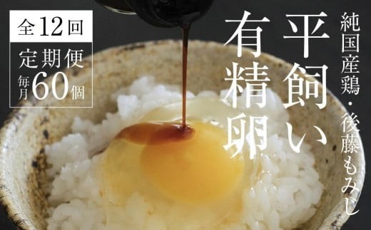 <2026年5月中旬～発送>【全12回定期便】平飼い有精卵 60個《西粟倉村》【株式会社点々】t-SS-DpDA