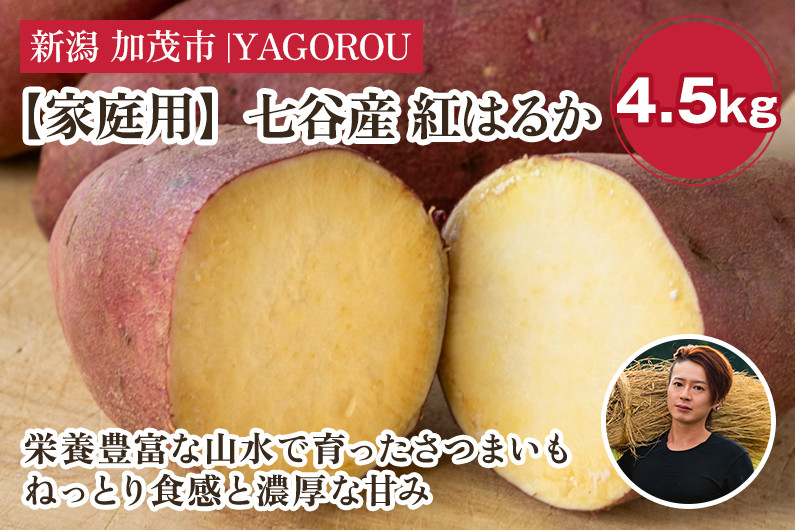 
            【家庭用】紅はるか 4.5kg（A品・B品混在） 新潟県加茂市七谷産 さつまいも《11月下旬〜順次発送》 サツマイモ お芋 焼き芋 スイートポテト 野菜 根菜 低温熟成 加茂市 YAGOROU ヤゴロウ
          