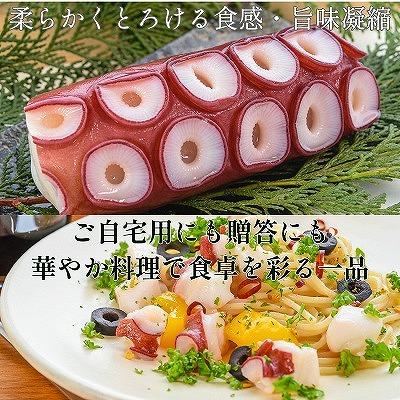 ふるさと納税 根室市 【北海道根室産】水たこ足ブロック4P、スライス4P D-20006 |  | 01