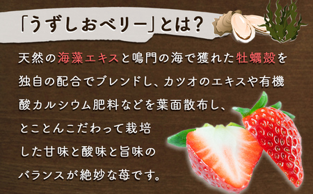 【朝摘みをお届け！】【2024年12月頃より順次発送】 フルーツガーデンやまがたのいちご「うずしおベリー」大粒30個  【数量限定】 いちご フルーツ 果物 苺 イチゴ 旬の果物 季節の果物 鳴門の果