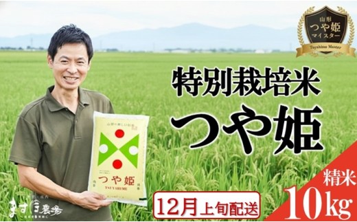 12月上旬配送／令和8年産【精米】つや姫マイスターが作った 特別栽培米『つや姫』10kg(5kg×2袋)［減農薬・減化学肥料］ MA SC0732