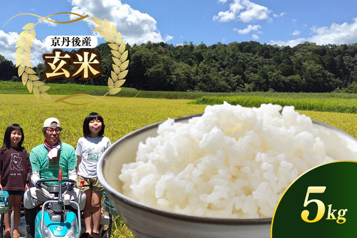 京都 丹後産コシヒカリ（玄米5kg）