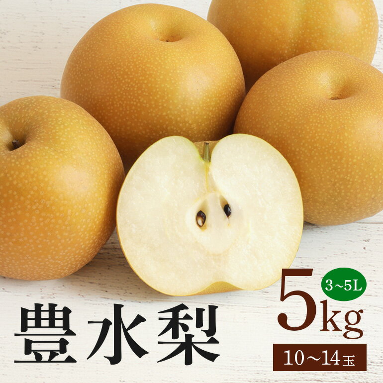 【ふるさと納税】 豊水梨　箱込約 5kg（JA新ひたち野）梨 約 10玉 〜 14玉 品種 豊水 なし ナシ 果物 フルーツ 大玉 5L 4L 3L サイズ 5キロ 8月 9月 発送 夏 秋 旬 産地直送 農家直送 産直 国産 くだもの 茨城県産 茨城県 石岡市 送料無料 (B01-010)
