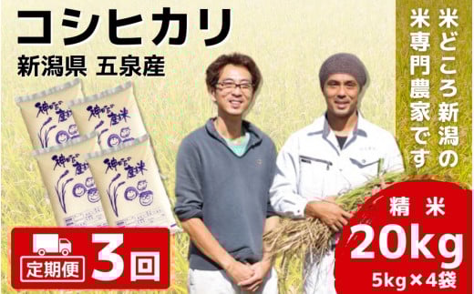 令和7年産 コシヒカリ【定期便 3ヶ月】20kg ( 5kg × 4袋 ) × 3回 五泉産 | 新潟産コシヒカリ 新潟県産コシヒカリ 新潟県産こしひかり 米 お米 こしひかり 白米 精米 ブランド米 新潟県 五泉市 わくわく農場