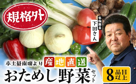 
                  【規格外】本土最南端から 旬のお試し 野菜セット 8品目以上  NI-2 ｜  旬 野菜 やさい  果物 くだもの  産地直送  農産物 冷蔵 鹿児島県 南大隅町産  詰合せ  おまかせ 家庭用 訳あり なんたん市場
                