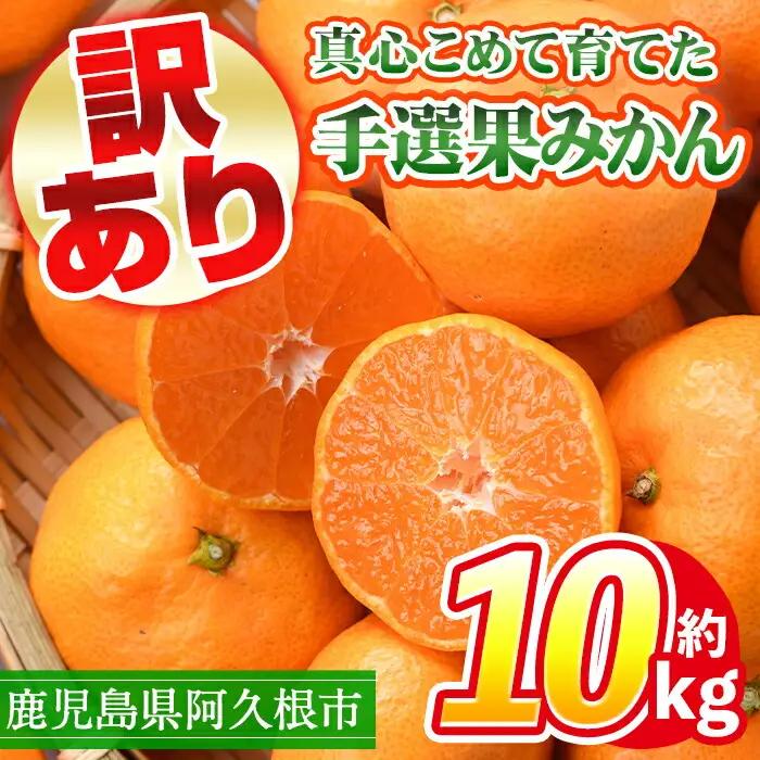 ＜先行予約受付中！2026年10月中旬以降順次発送予定＞ 訳あり！鹿児島県産手選果みかん(計10kg) 国産 柑橘 果物 フルーツ ご家庭用 サイズ 不揃い【三笠農業生産】akn051-11