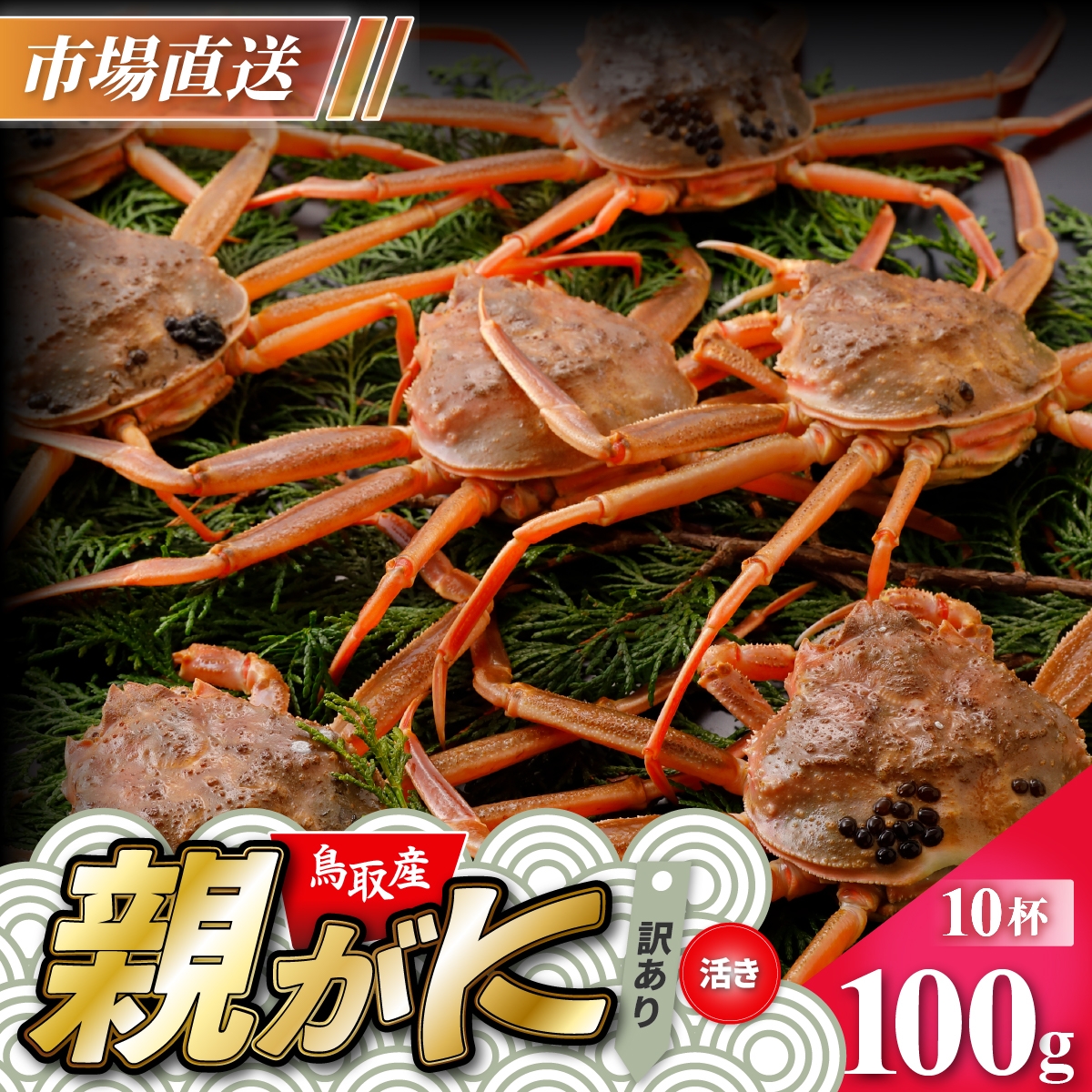 
                  【活物】訳あり親ガニ(セコガニ) 100g　10杯
                