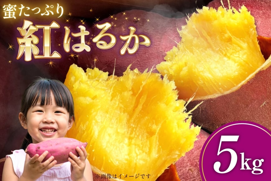 
            さつまいも 紅はるか 5kg  【2025年11月前半〜2026年3月後半配送】 [SSSファーム 兵庫県 三田市 3d28bed520000] 芋 さつま芋 べにはるか お芋 5キロ
          