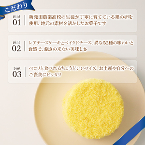 二層の贅沢チーズケーキ チーズケーキ チーズケーキ チーズケーキ J88_02