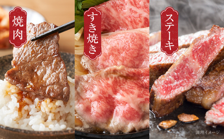 【定期便】飛騨牛 全５回（焼肉・すき焼き・ステーキ）計3kg | 焼肉 ステーキ カルビ 食べ比べ 牛 定期 飛騨高山ミート MZ100 肉 定期便 牛肉定期便 牛肉 定期便 牛肉定期便