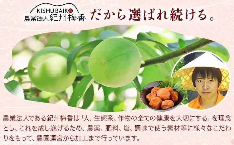 梅干し無添加つぶれ減塩梅干 塩分3% 1kg 500g×2パック