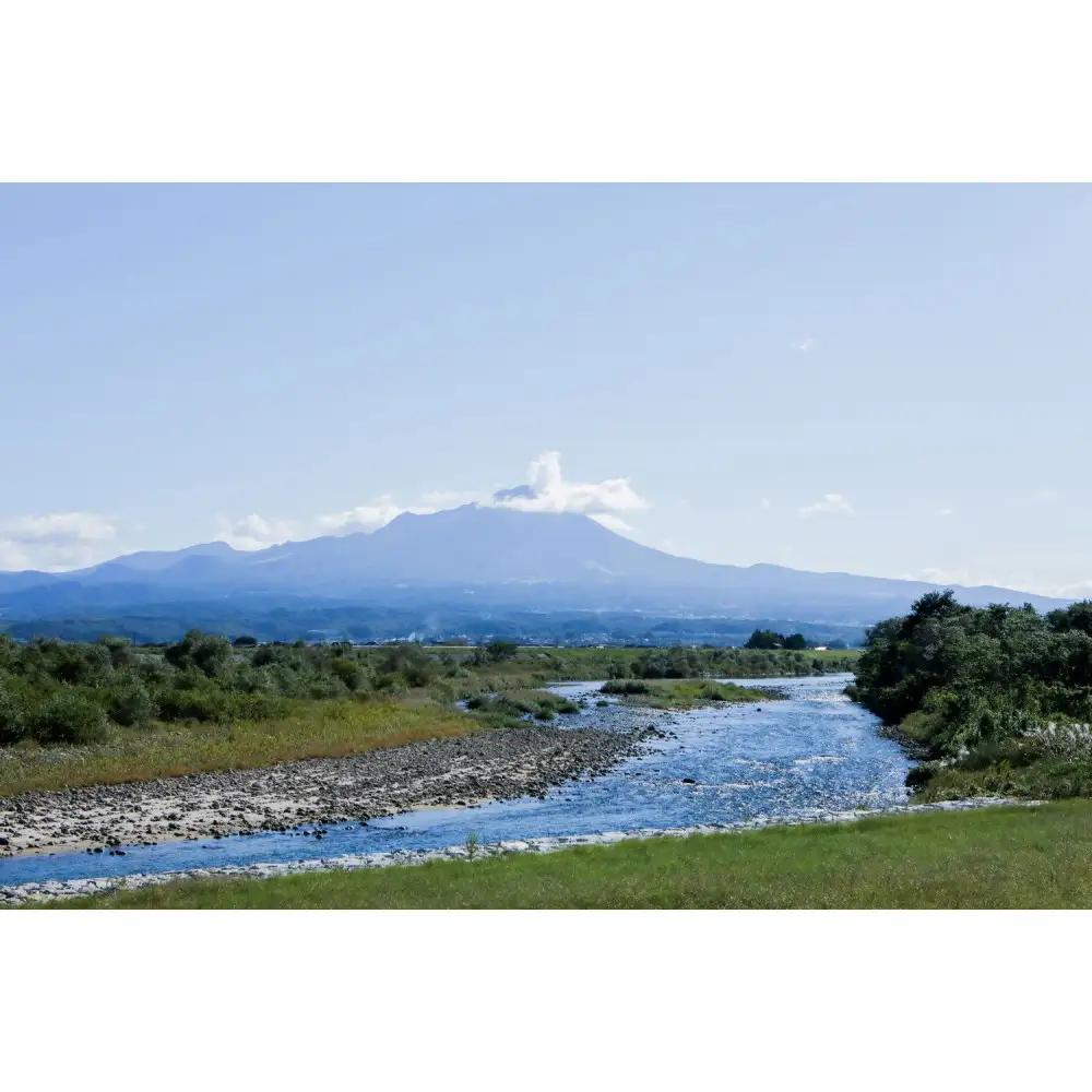 おうちで楽しむ栽培キット「きのこっ家」　しいたけ