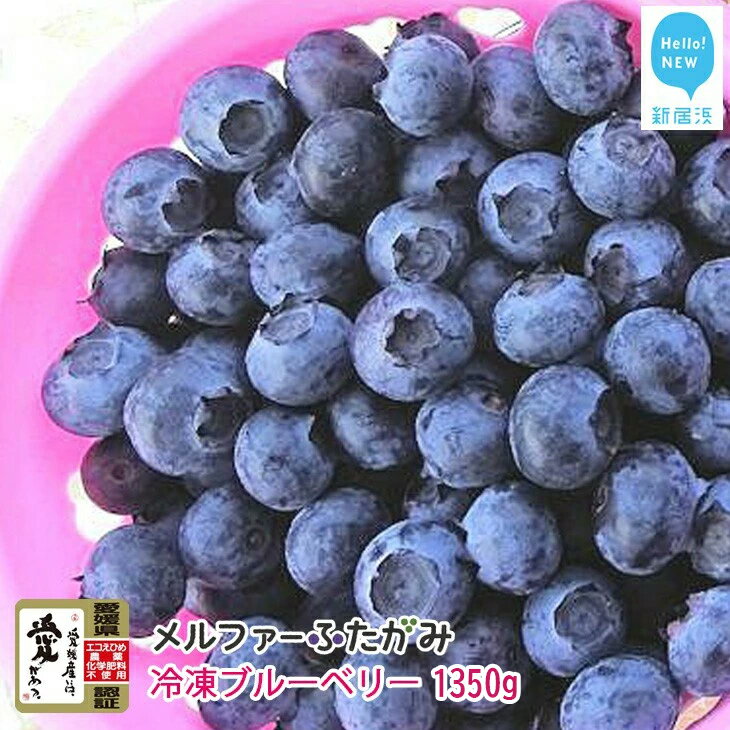 【ふるさと納税】【先行予約】 完熟ブルーベリー1350g（冷凍） 毎年人気の冷凍ブルーベリーです メルファーふたがみ