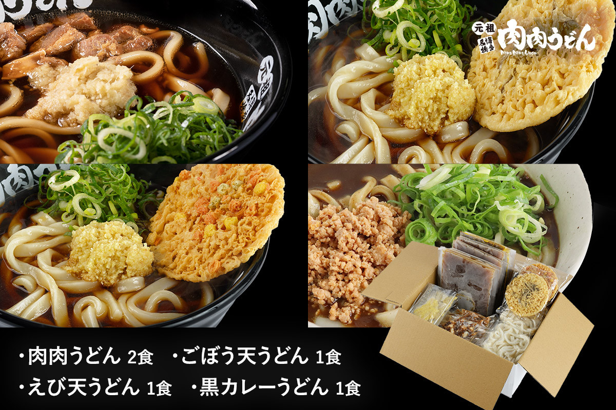 
冷凍 肉肉うどん２食・天ぷらうどん２食・黒カレーうどん１食 バラエティセット【A5-460】
