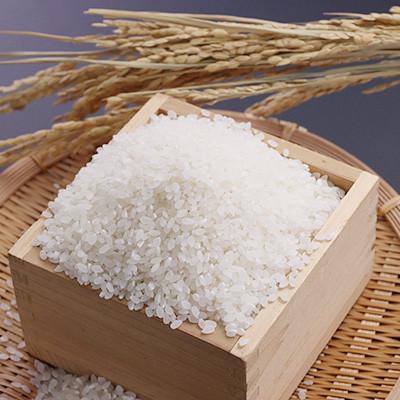 ふるさと納税 大潟村 【限定100袋!】サキホコレ特別栽培精米5kg |  | 02