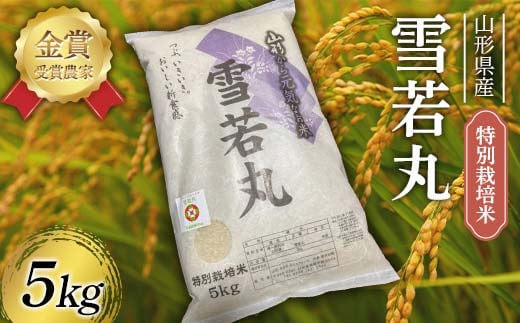 
            令和7年産 特別栽培米 雪若丸 5kg F2Y-4397
          
