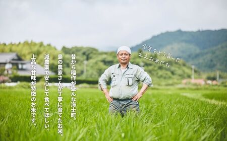 【本氣米5kg：きぬむすめ】甘くてもっちり島のブランド米 本氣米 お米 精米 白米 弁当 ごはん ご飯 おにぎり 年末年始 お正月 お歳暮 御歳暮 ギフト