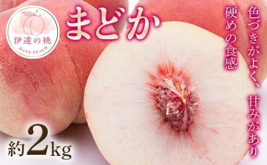 【2026年出荷分先行予約】福島県産 まどか 約2kg (5～8玉) 農業生産法人種まきうさぎ株式会社 大玉 固め 伊達の桃 桃 フルーツ 果物 もも モモ momo F20C-498