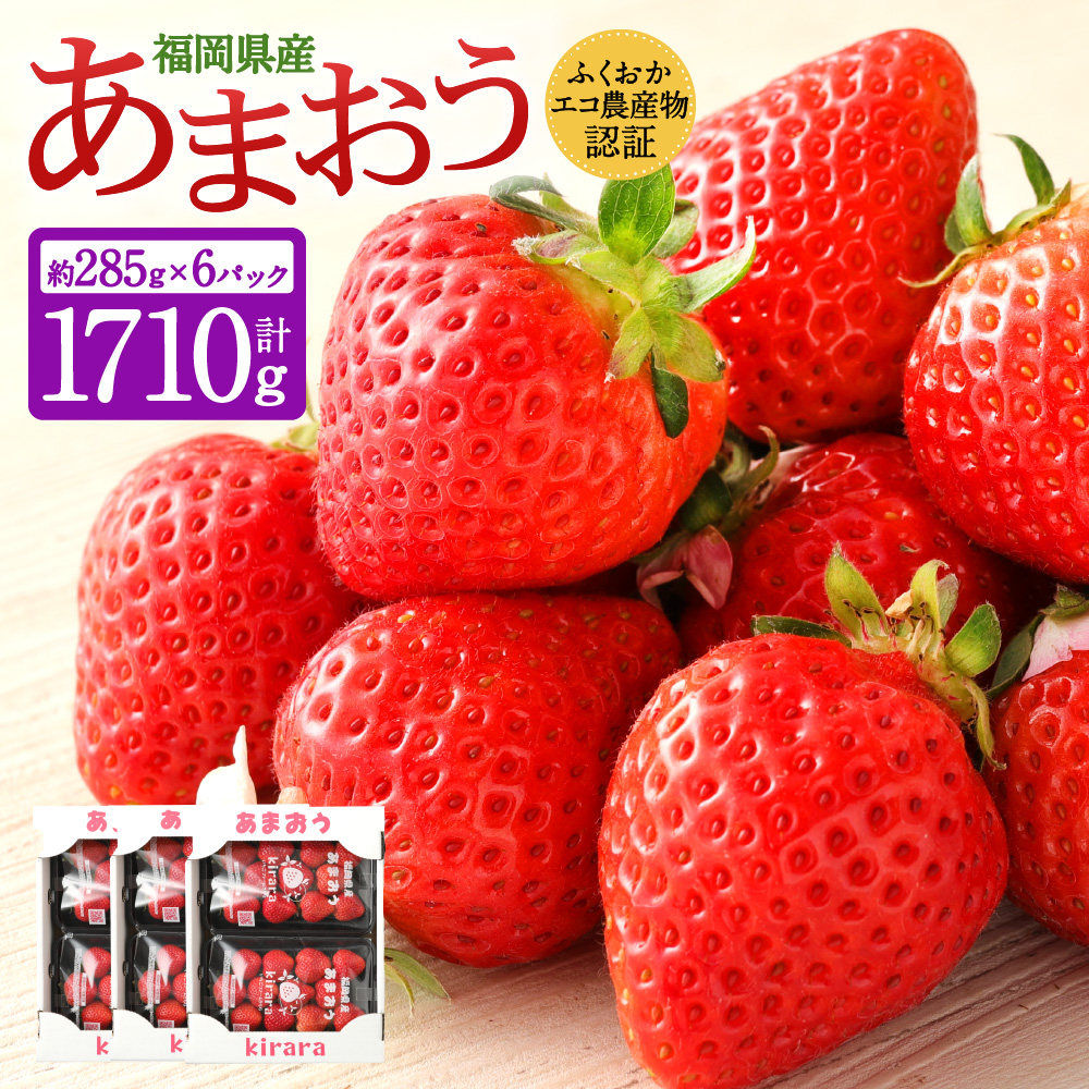 あまおう 約1710g 約285g×6パック いちごファームきらら【ふくおかエコ農産物認証】【2026年2月上旬-3月下旬発送予定】