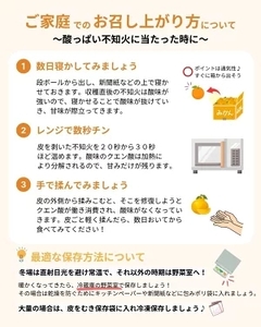 和歌山 有田 広川 不知火 しらぬい デコポン 果物 くだもの ギフト / 2月中旬発送【有田不知火】産地直送　大好き不知火３kgご家庭用サイズ混合※2024年2月中旬より順次発送予定 ※着日指定不可