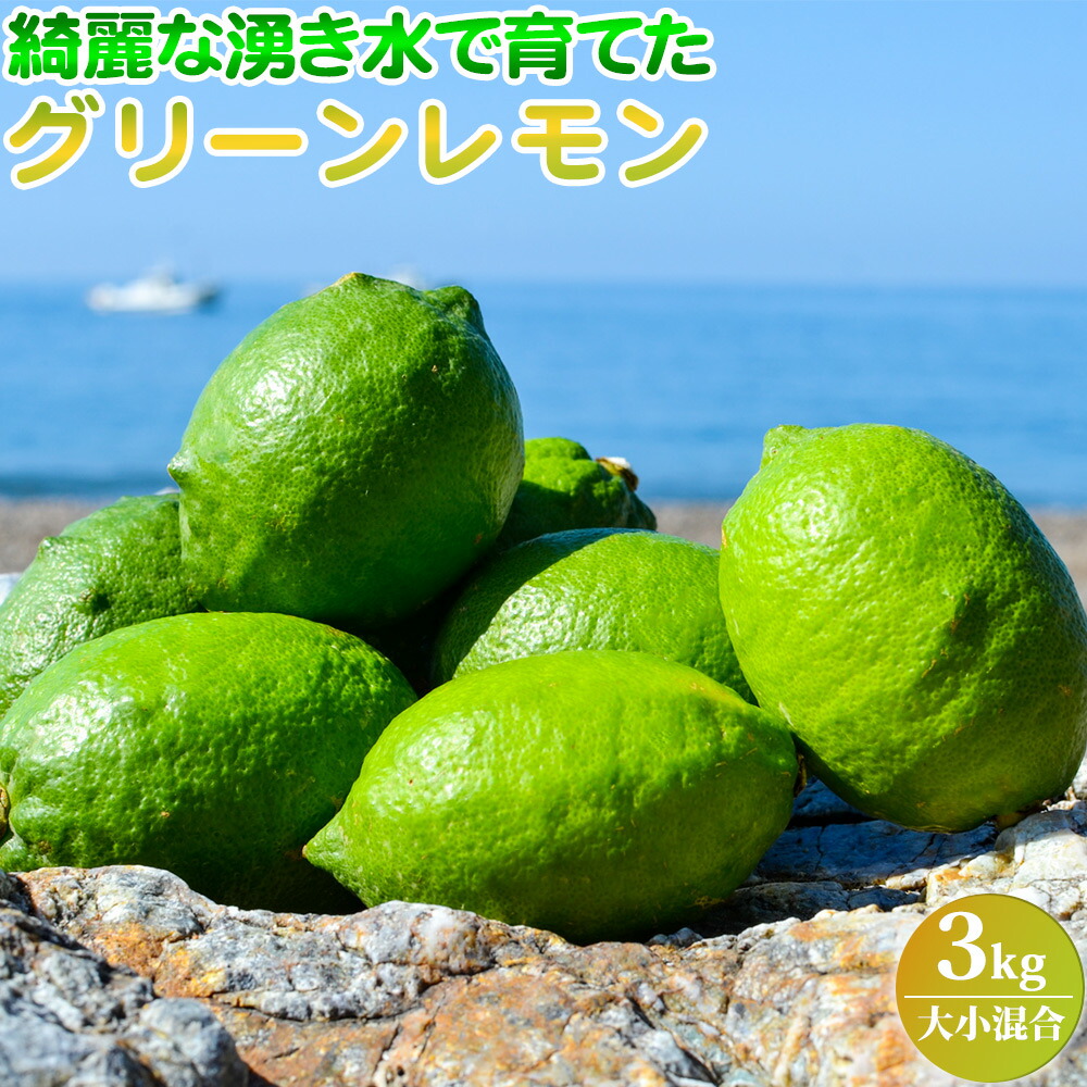 【2026年先行予約】綺麗な湧き水で育てた グリーンレモン 約3kg (大小混合)_EA6043n