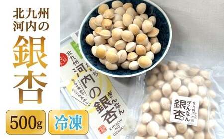 【冷凍】 北九州河内の銀杏 500g 銀杏 ぎんなん ギンナン 実 おつまみ 旬 季節の食べ物 秋の味覚 冷凍 福岡県 北九州 LC