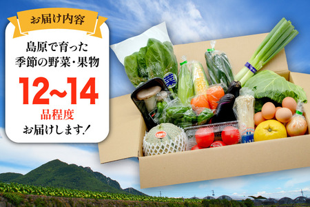 BF057 野菜 フルーツ 定期便3回 おまかせセット 野菜 フルーツ12～14品目 卵6玉