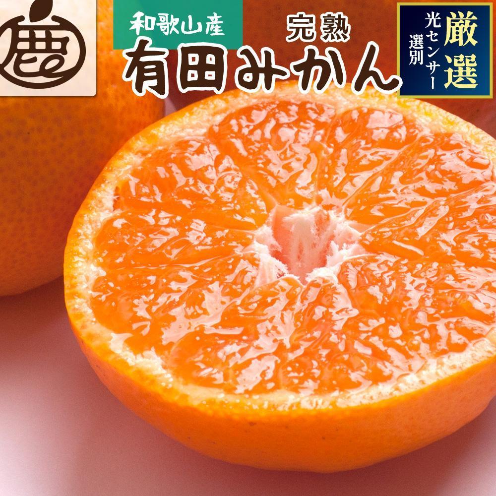 【ふるさと納税】【選べる内容量】プレミアム 有田みかん（完熟）1kg～10kg+250g（傷み補償分） | みかん 蜜柑 フルーツ 果物 くだもの 食品 人気 おすすめ 送料無料