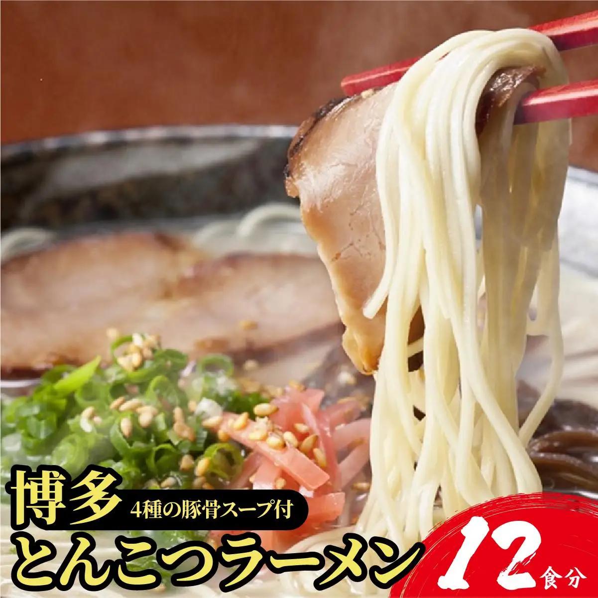 【4種の豚骨スープ】博多とんこつラーメン12食分【本場博多産のスープ】