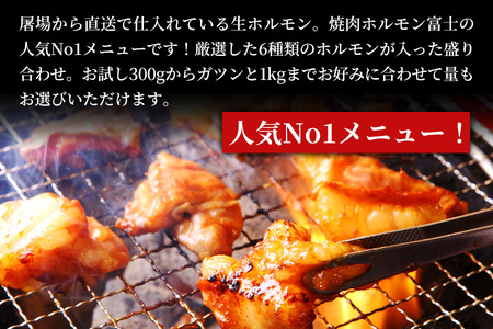 特選ホルモン盛り合わせ 1セット(6種類 500g）焼肉_OS295-0001