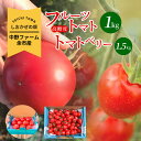 【ふるさと納税】2025年発送【先行予約】しおかぜの畑 中野ファーム 余市産 フルーツトマト 1kg・トマトベリー 1.5kgセット 2025年初夏発送 高糖度トマト・ミニトマト シリパ岬 小ぶり トマト 濃厚な味わい バランス 北海道 余市 送料無料