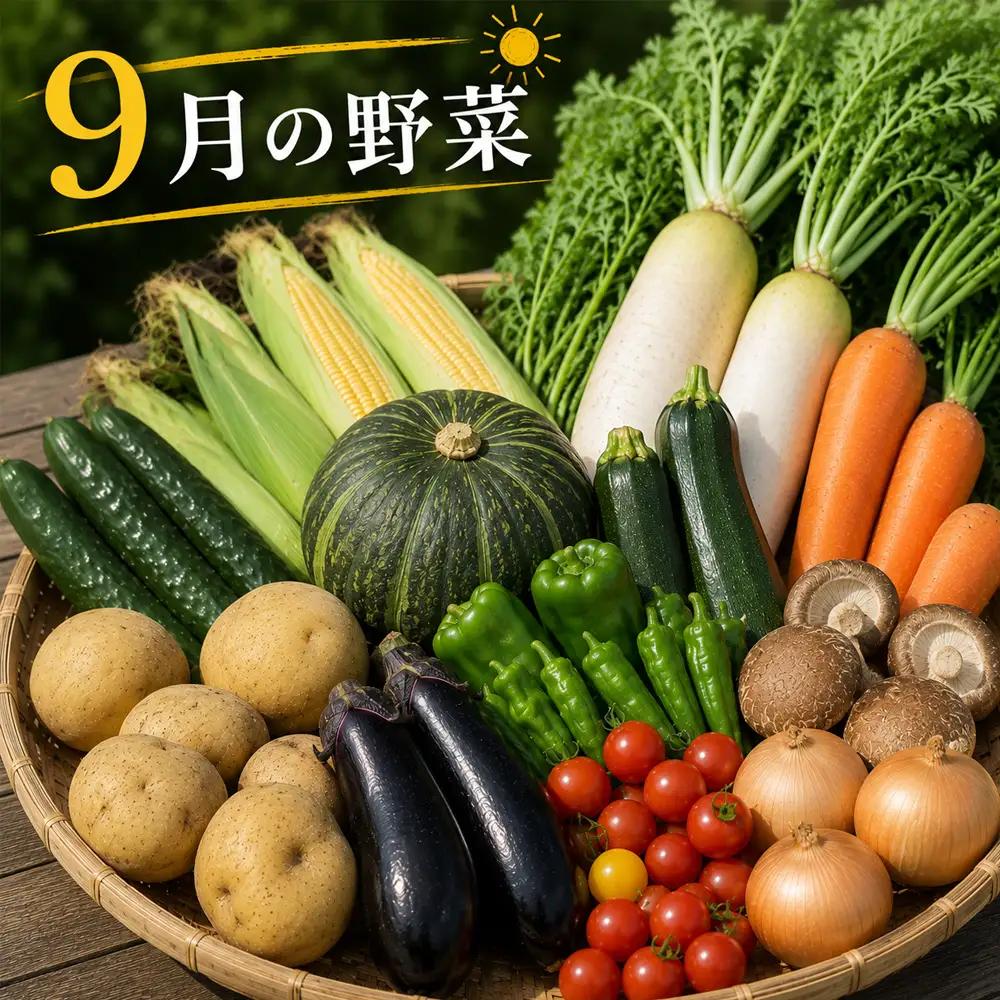 【令和8年産】旬の野菜7～9種の詰め合わせセット 定期便 2回便 9月～10月発送 美景農園