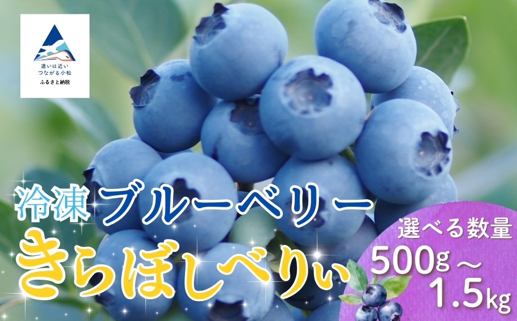 
            冷凍ブルーベリー（選べる容量 500g/1000g/1500g） 冷凍フルーツ 冷凍食品
          