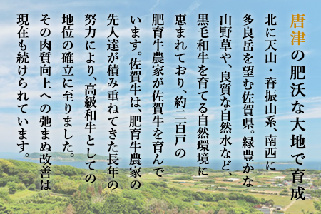 佐賀牛手造りハンバーグ 90g×2個入×8袋 (合計1.44kg)