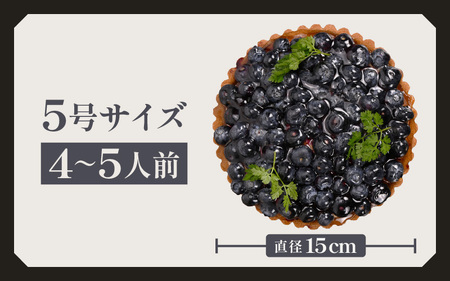 先行予約 ブルーベリーのフレッシュタルトケーキ 5号：直径15cm (4〜5人前) 850g 2027年7月発送 スイーツ ケーキ [A-5219_07]