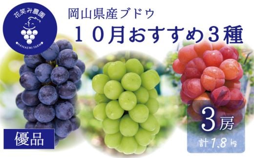 ＜2026年先行受付＞岡山　花笑み農園の『10月おすすめ3種』優品　1.8kg(3房)3M-2L優_ぶどう おすすめ 3種 食べ比べ 優品 1.8kg 贈答 ギフト フルーツ 果物 送料無料 岡山県 津山市【1694442】