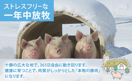 放牧豚 遊ぶた 1.2kg 角切り カレー・シチュー用 豚肉