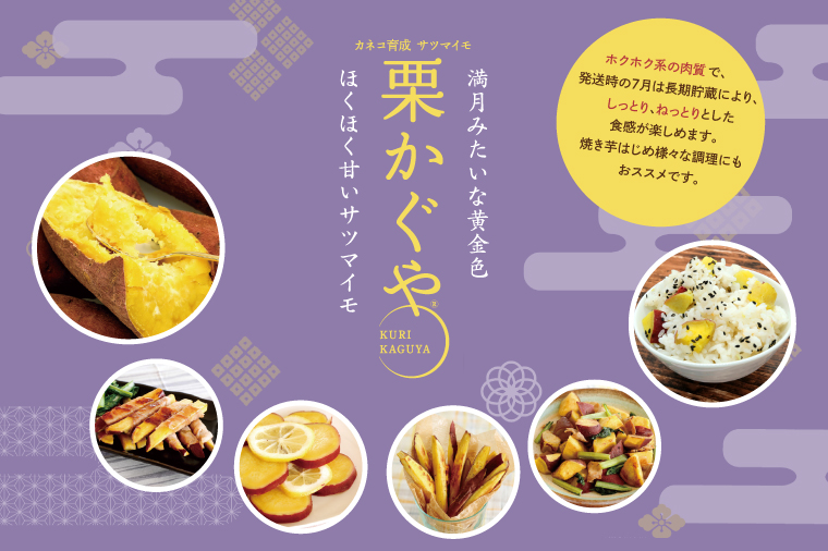 【2026年7月より順次発送】希少な新品種！７月限定「行方の黄福(栗かぐや)」さつまいも 約5kg｜さつまいも サツマイモ さつま芋 お芋 希少 新品種 栗かぐや 先行予約 茨城県 行方市(AE-88