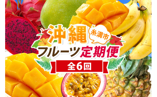 【定期便全6回】沖縄 フルーツ 定期便 6回 パッションフルーツ スナックパイン パイン マンゴー キーツマンゴー ドラゴンフルーツ バナナ フルーツ定期便 旬 フルーツ 果物 くだもの 沖縄マンゴー 定期便 季節の果物 産地直送 沖縄県 糸満市 