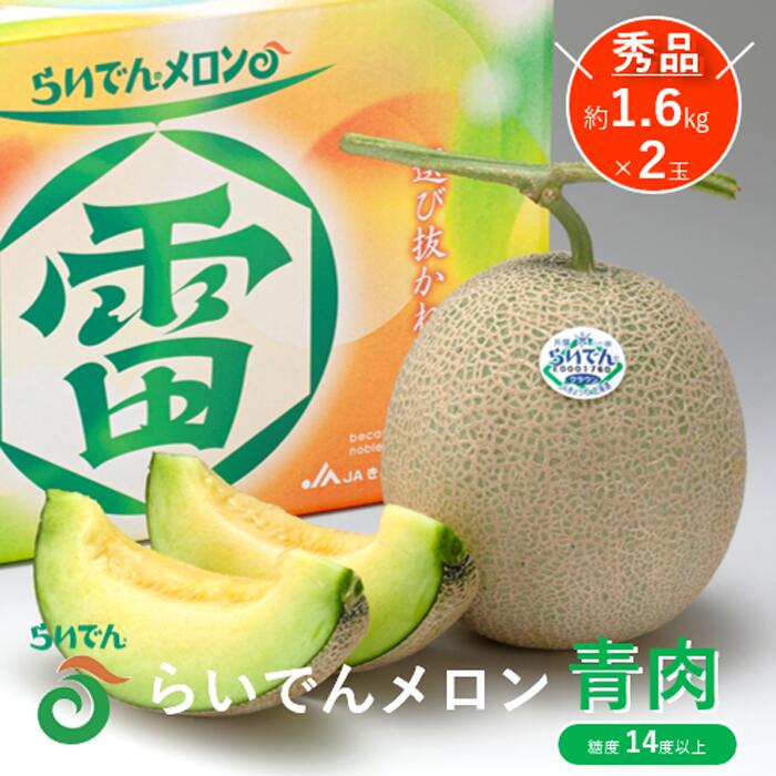 【ふるさと納税】【 2026年発送 先行予約 】メロン 北海道 共和町産 らいでんメロン 青肉 2玉 セット フルーツ 果物 産地直送 JAきょうわ 果実 メロン青肉 　お届け：2026年8月下旬〜9月上旬まで