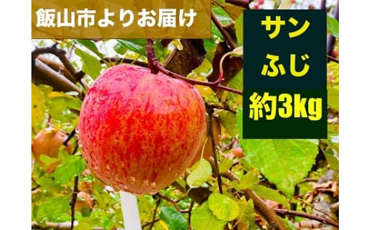 【先行予約】 サンふじ 約3kg（2024年産） (Aa-1)