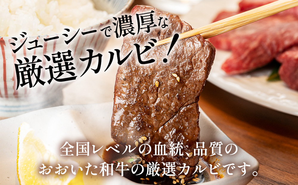 おおいた和牛 焼肉用 300g×2P(合計600g） 牛肉 黒毛和牛 バラ肉 和牛 豊後牛 国産牛 赤身肉 焼き肉 焼肉 大分県産 九州産 津久見市 国産【tsu002306】