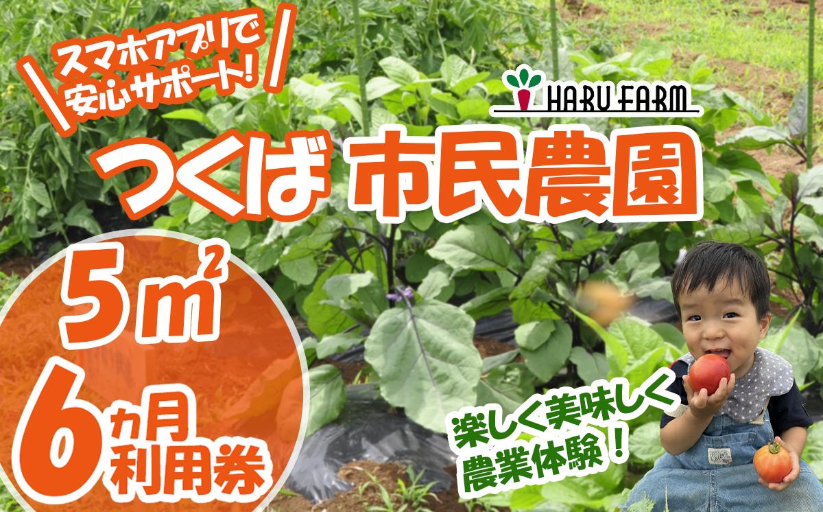 【専用スマホアプリがサポート！】ハルファームの市民農園利用券　(5㎡ 6ヵ月分) 【 茨城県 つくば市 農園 貸農園 貸し農園 農業体験 農業 野菜収穫 体験 野菜体験 チケット 旬野菜 採れたて野菜 】