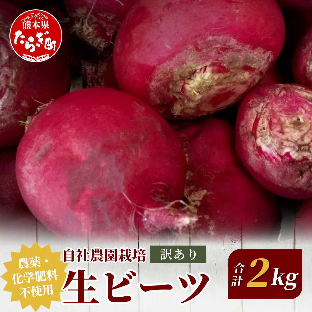 【ふるさと納税】【訳あり】熊本県産 生 ビーツ 2kg スーパーフード 高栄養 びーつ 生 あさぎり農園 野菜 根菜 美容 健康 栄養 豊富 国産 健康維持 ビタミン ミネラル タンパク質 天然素材 1万円以下 送料無料