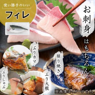 ふるさと納税 垂水市 【鹿児島産ぶり】 冷凍 ぶり フィレ (半身1枚) 【アクアブルー】B2-4774 |  | 02