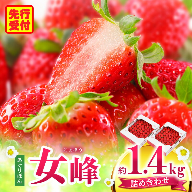 【ふるさと納税】あぐりぼん　いちご「女峰」　詰め合わせ約1.4kg　（約700g×2箱）いちご 果物 フルーツ デザート ストロベリー 果肉 スイーツ 甘い 国産 贈り物 贈答 プレゼント グルメ 人気 おすすめ 季節 旬 旬の果物 詰め合わせ 香川県 三木町 送料無料