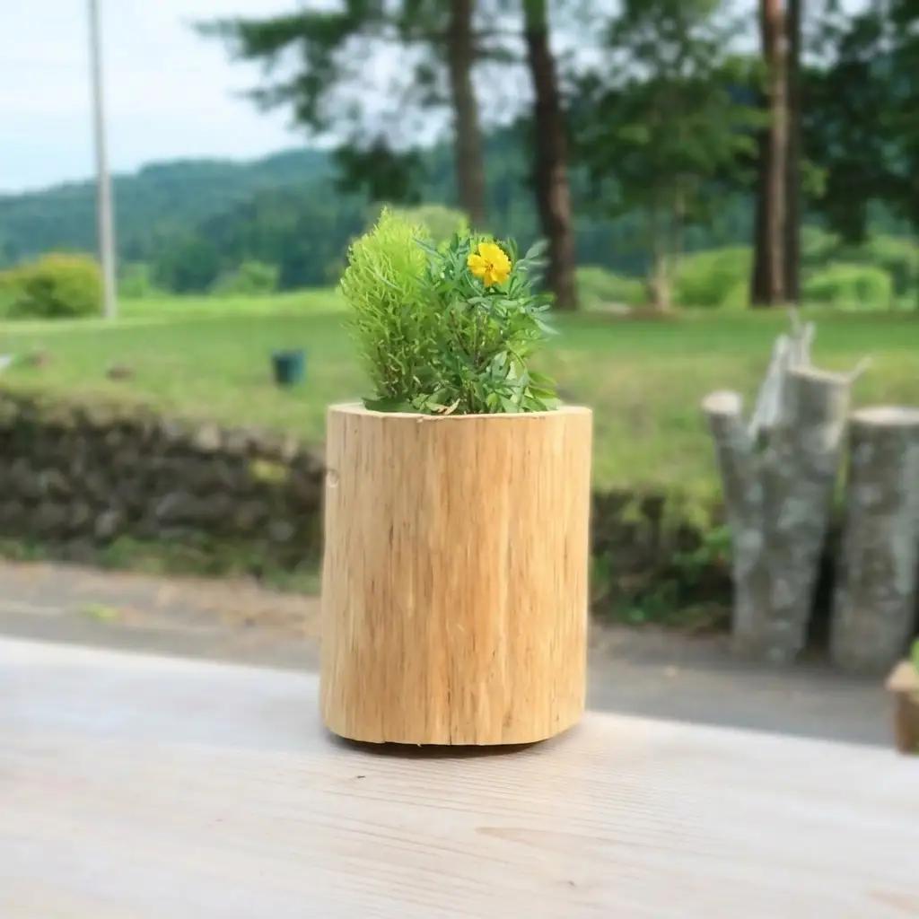 里山くらし応援 木工品 秋田杉の丸太プランター「生え杉くん（はえすぎくん）」縦長タイプ 雑貨 日用品 ガーデニング用品 木製プランター 手作り 