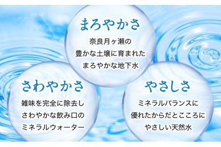 【定期便3ヶ月】奥大和の銘水 540ml×48本（1箱24本入り×2箱）×3ヶ月 水 長期保存可能 銘水 水 長期保存可能 銘水 水 長期保存可能 銘水 水 長期保存可能 銘水 水 長期保存可能 銘水